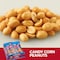 Planters Planters Salted Peanut 1.75 oz. Tube, PK48 10029000077086 - alternate 1